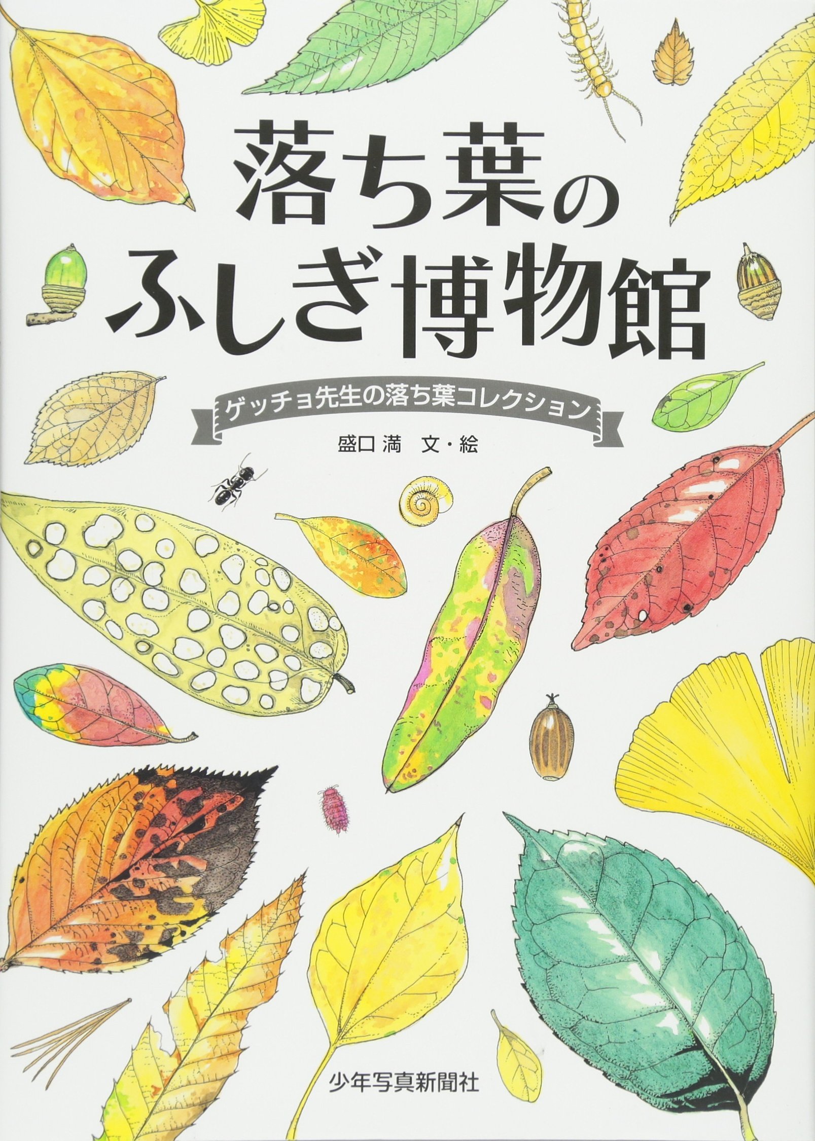 落ち葉のふしぎ博物館―ゲッチョ先生の落ち葉コレクション | 盛口 満